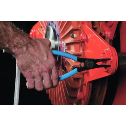 image_d5b9f06f-3131-4237-98ab-56587ce4b181