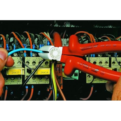 image_a89483eb-964b-4d15-98b2-01dda56078e6