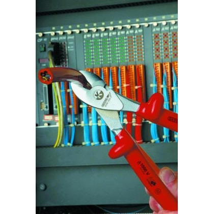 image_f6f82fea-42c4-4184-931d-1436d2f23355