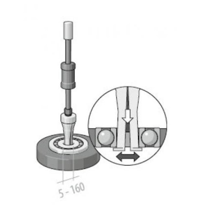 image_10475f6e-a00b-44b5-9dde-c9a976281ce8