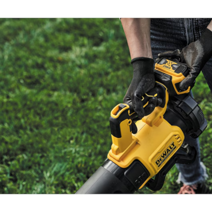 image_d7785a8b-62b9-4edc-a12f-6625c680fd98